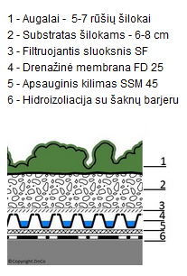 siloku kilimas2