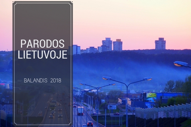 Statybų ir interjero parodos Lietuvoje 2018 m. BALANDIS