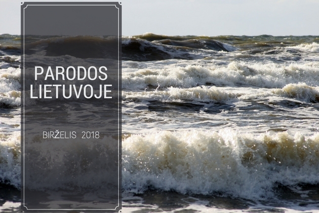 Statybų ir interjero parodos Lietuvoje 2018 m. BIRŽELIS