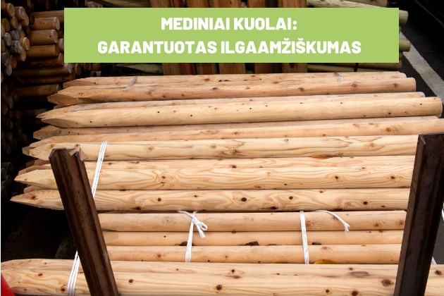 Mediniai kuolai su apsauga nuo puvimo – ilgaamžiškumas garantuotas!