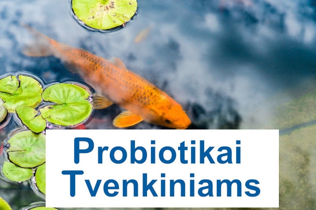 Efektyvus tvenkinių su žuvimis valymas nuo dumblių ir mikrobiologinės būklės gerinimas – Probiotikai Tvenkiniams