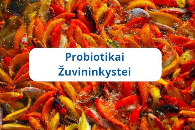 Probiotikai Žuvininkystei – šiuolaikiniai ekologiški biotechnologiniai probiotiniai preparatai tvenkinių žuvininkystėje