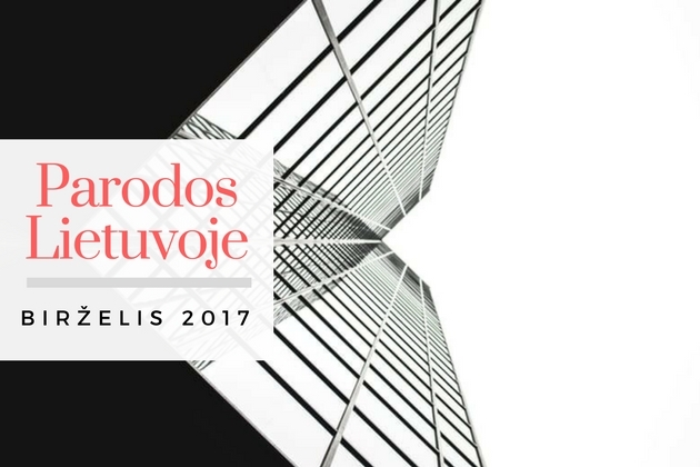 Statybų ir interjero parodos Lietuvoje 2017 m. BIRŽELIS