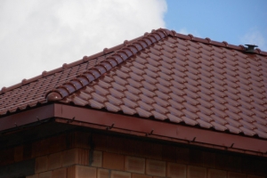 Čerpės – ar verta jas rinktis namo stogui?