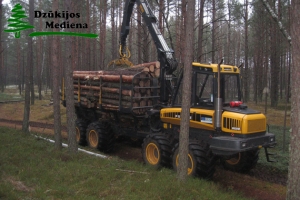 Perkame mišką su žeme, statų mišką iškirtimui, tvarkome mišką visoje Lietuvoje