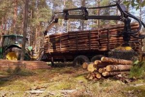 Medienos traukimo, sandėliavimo miškuose darbai – greitai ir kokybiškai